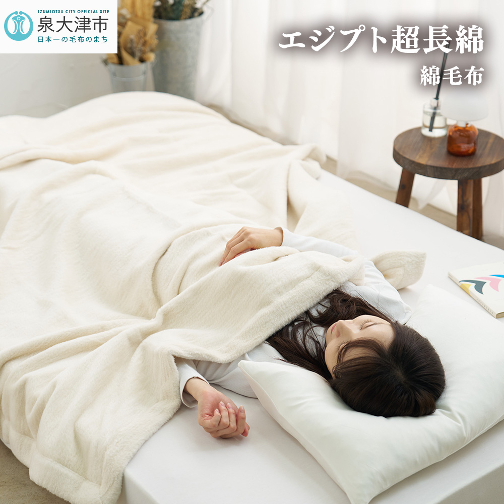 GWvg Ȗѕz Z~_u 160×200cm C555SD i`n [4578]{Îs77000G݁EpiQE^I