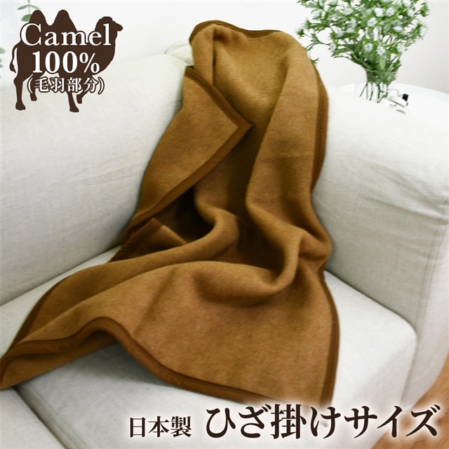 Lѕz Ђ|TCY [4999]{Îs22000G݁EpiQE^I