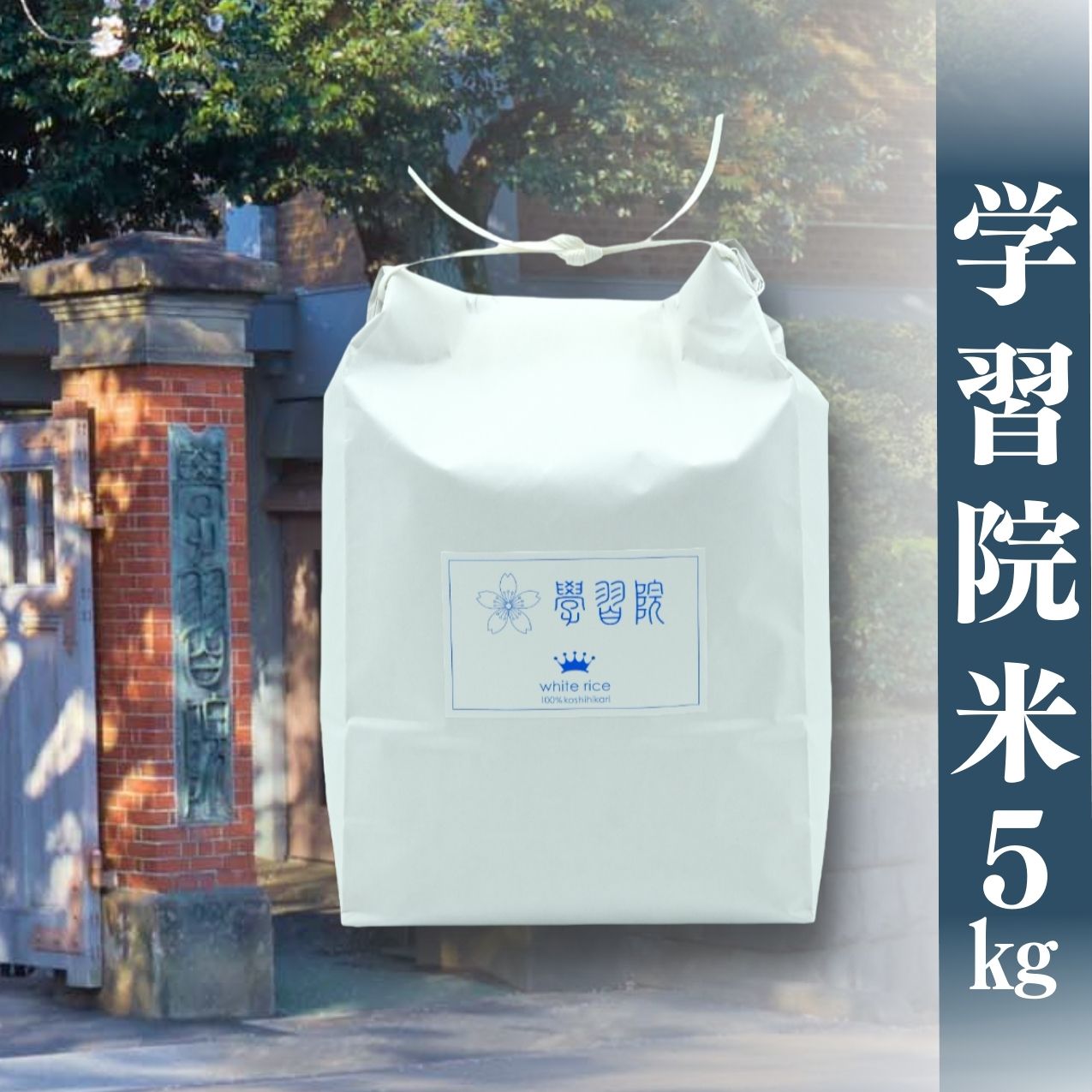 学習院米 5kg長野県栄村29000米・パン白米