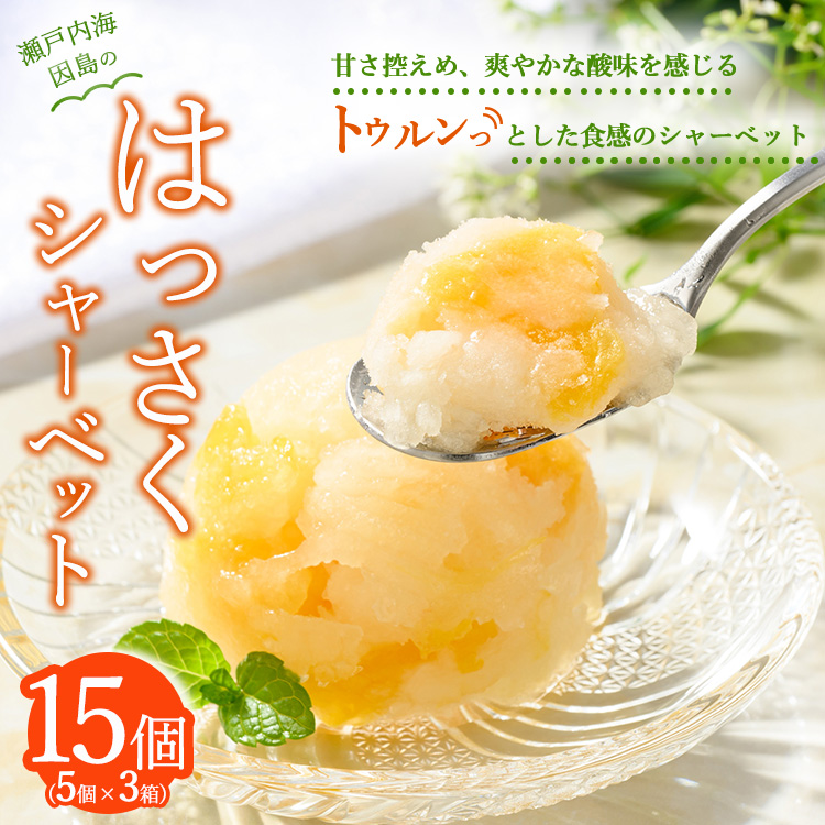 因島のはっさくシャーベット(未凍結)3箱 15個セット(1箱75g×5個入)広島県竹原市15000菓子・スイーツアイス・ジェラート