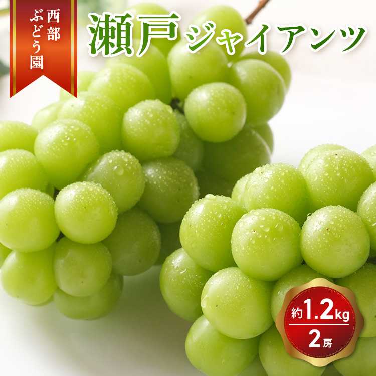 西部ぶどう園 瀬戸ジャイアンツ2房 約1.2kg 葡萄 フルーツ 果物 ※2024年9月初旬〜10月初旬頃に順次発送予定 ※沖縄・離島への配送不可広島県竹原市14000果物・フルーツマスカット・ぶどう