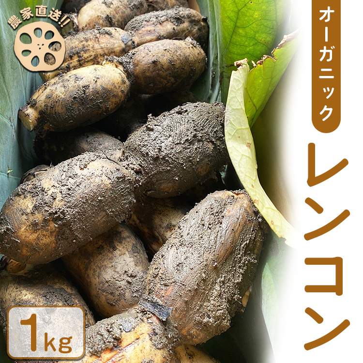 y_ƒIzI[KjbNR 1kg b R I[KjbN @ Yn VLVL Â  ₳  Hi L |s@2024N8{菇\L|