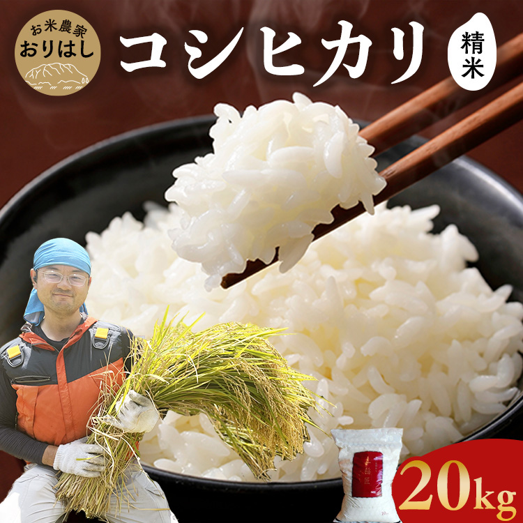 【先行予約】お米 コシヒカリ 精米 20kg ● | おにぎり 竹原市 小梨町 お米農家 おりはし 【 広島県産 白米 名水 甘み おむすび ご飯 】※2025年9月頃より順次発送予定広島県竹原市40000米・