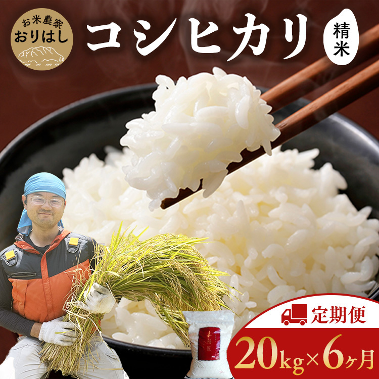 【先行予約】【定期便20kg×6ヶ月】お米 コシヒカリ 精米 20kg×6ヶ月  〇|おにぎり 竹原市 小梨町 お米農家 おりはし【定期便・ 広島県産 白米 名水 甘み おむすび ご飯 定期便 6カ月定期 】※