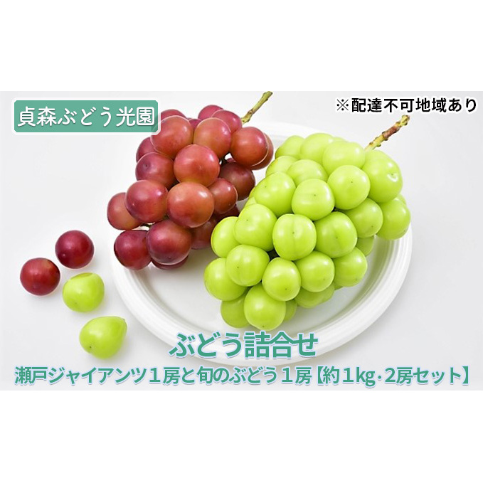 Ԃǂl ˃WCAc 1[ {̂Ԃǂ 1[ 1kg 2[Zbg XԂǂ  t[c ʕ@y 嗱 lC 炲 n Nx Hה V sI[l z2024N9{`9