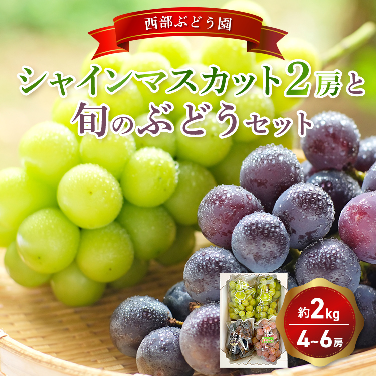 Ԃǂ VC}XJbg2[Ə{̂ԂǂZbg 4`6[ v2kg  t[c ʕL|s20000ʕEt[c}XJbgEԂǂ