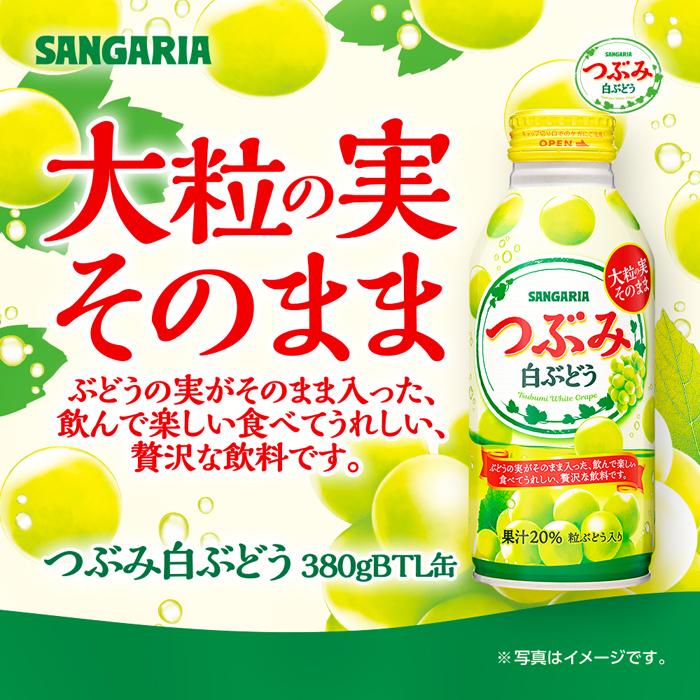 サンガリア つぶみ白ぶどう 380g×24本三重県伊賀市12000お茶・飲料果汁・野菜飲料