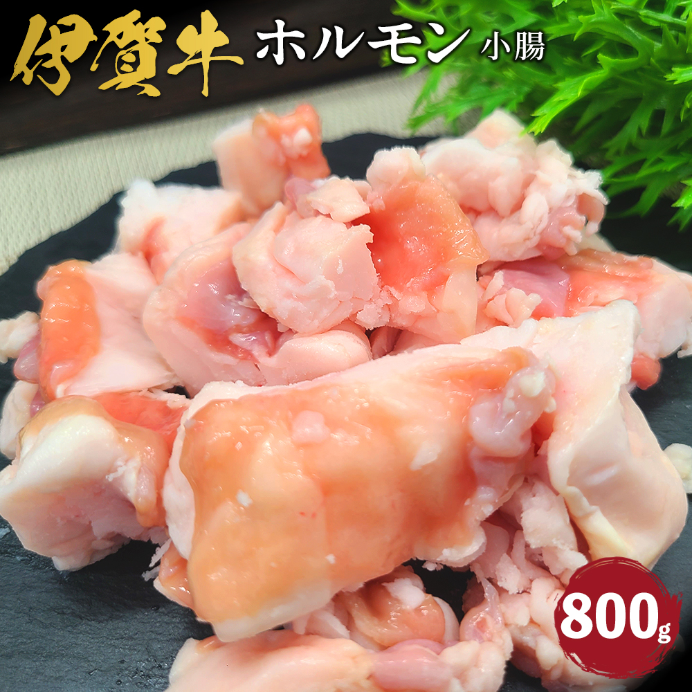 ɉꋍ zij800gOdɉs10000