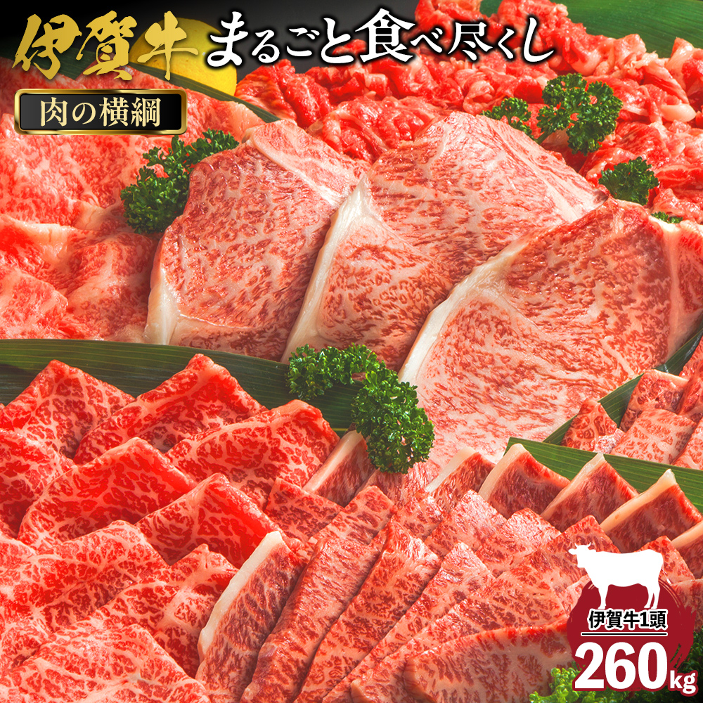 肉の横綱 伊賀牛まるごと食べ尽くし三重県伊賀市10000000肉牛肉