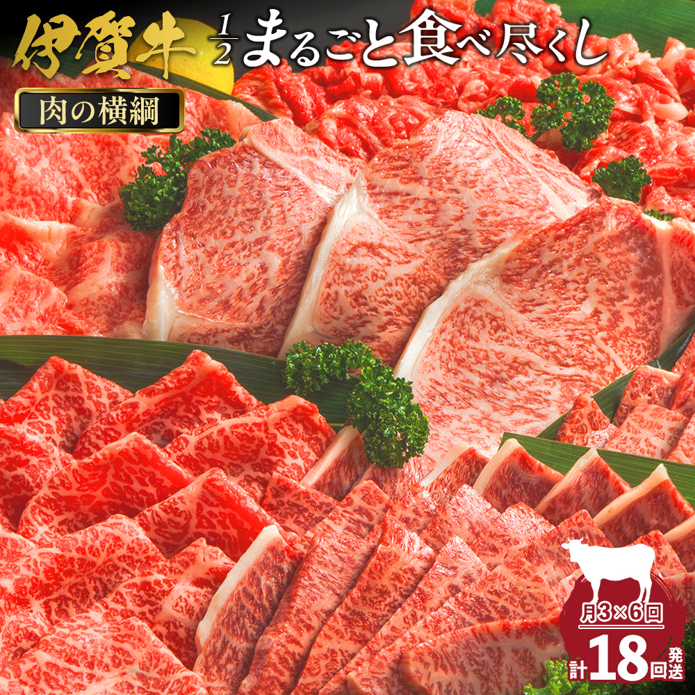 【月3×6回 計18回発送】肉の横綱 伊賀牛1/2まるごと食べ尽くし三重県伊賀市5334000肉牛肉