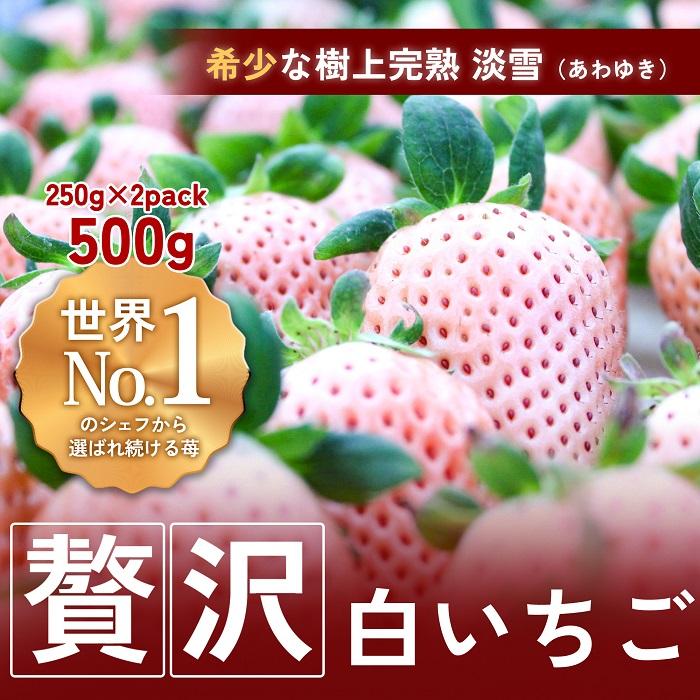 【完熟クラフト苺BERRY】海外セレブ御用達【樹上完熟白いちご】淡雪(あわゆき)約500g(出荷2025年12月上旬〜2026年5月下旬)三重県伊賀市18000果物・フルーツいちご