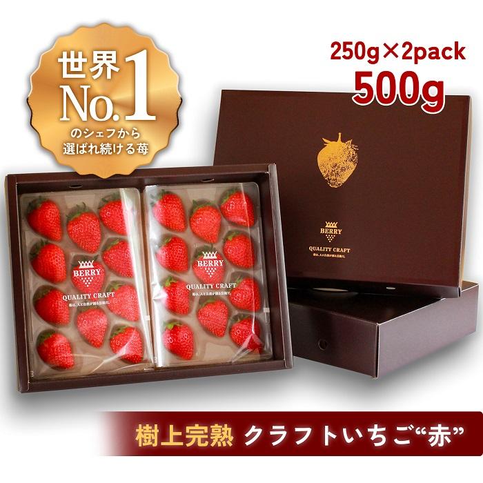【完熟クラフト苺BERRY】有名シェフ御用達【樹上完熟赤いちご】約500g(出荷2025年12月上旬〜2026年5月下旬)三重県伊賀市12000果物・フルーツいちご