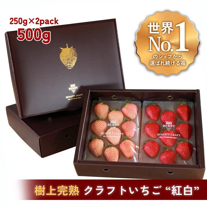 【完熟クラフト苺BERRY】有名シェフ御用達【樹上完熟樹 紅白いちごセット】約500g(出荷2025年12月上旬〜2026年5月下旬)三重県伊賀市15000果物・フルーツいちご
