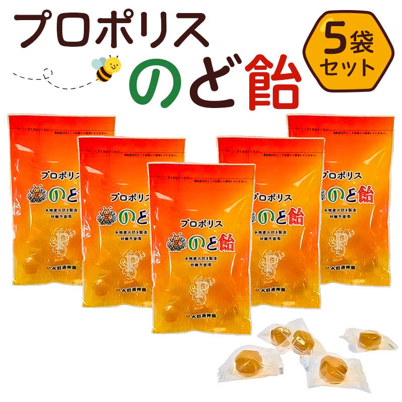 プロポリスのど飴 5袋 ns008-015栃木県那須塩原市9000菓子・スイーツその他 洋菓子