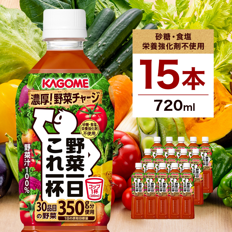 カゴメ 野菜一日これ一杯 720mlPET×15本【 飲料 野菜ジュース 栃木県 那須塩原市 】 ns001-032栃木県那須塩原市17000お茶・飲料果汁・野菜飲料