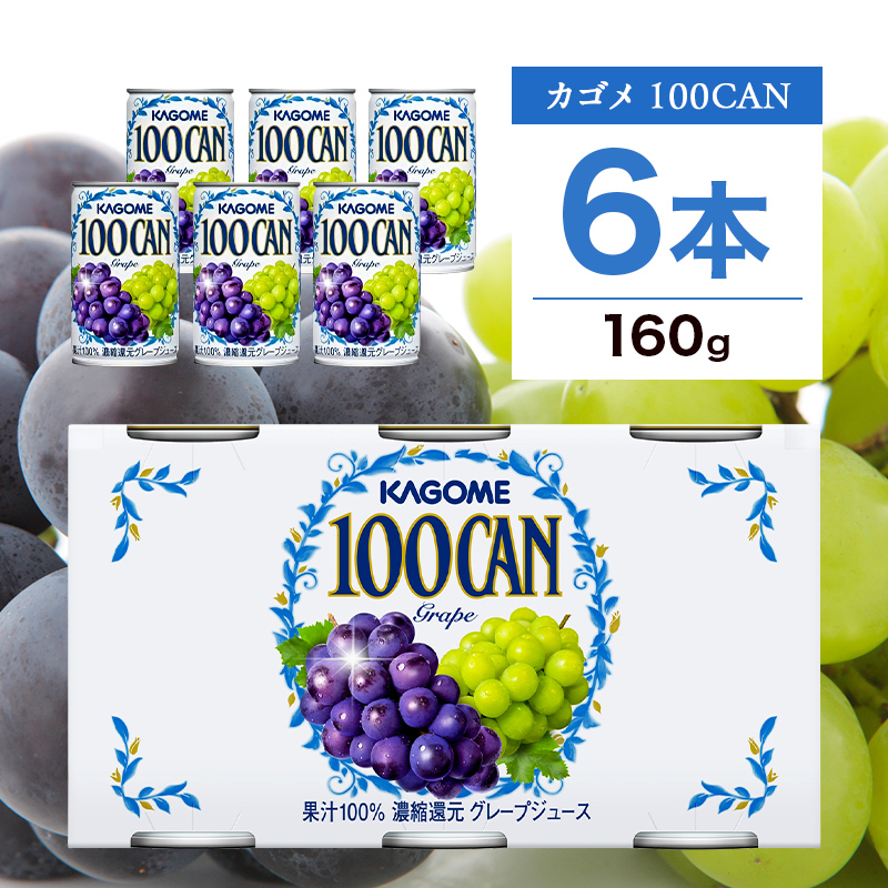 JS 100CAN 160g × 6 ZkҌ O[vW[X 100 W[X sgp t[cW[X  ʏ` ʓ O[v Ԃǂ  uhE t[c  hN  ʕ 