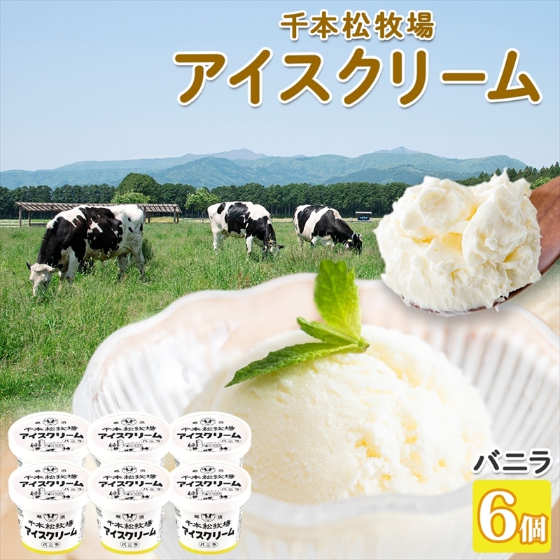 栃木県 千本松牧場 アイスクリーム 6個 牛乳 生乳 ミルク 搾りたて 搾乳 新鮮 アイス 濃厚 甘い さっぱり すっきり なめらか デザート スイーツ おやつ 人気 グルメ ご褒美 贅沢 ギフト 贈り