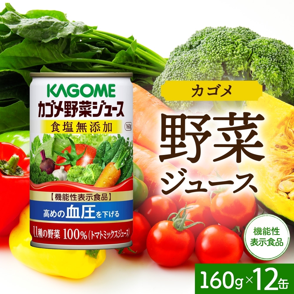 カゴメ野菜ジュース食塩無添加160g×12 ns038-042栃木県那須塩原市11000お茶・飲料果汁・野菜飲料