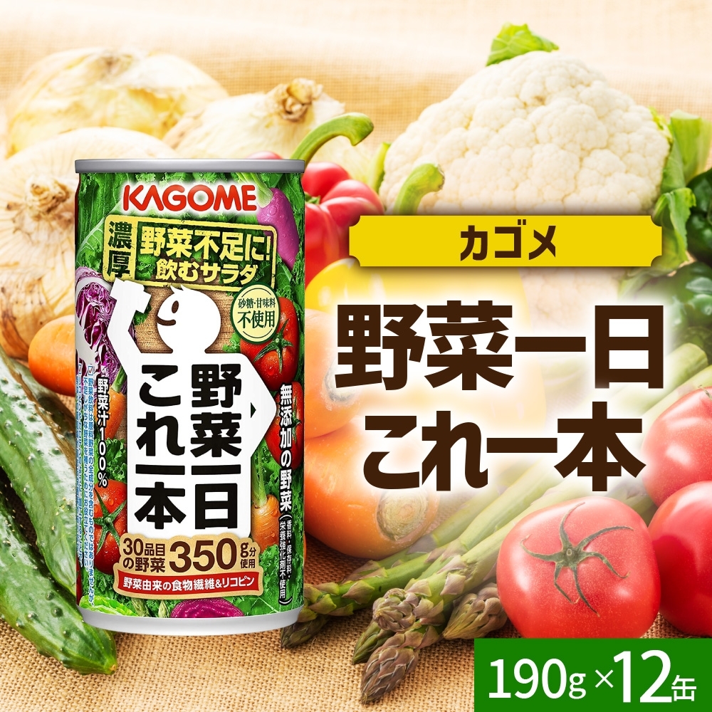 野菜一日これ一本190g×12 ns038-044栃木県那須塩原市11000お茶・飲料果汁・野菜飲料