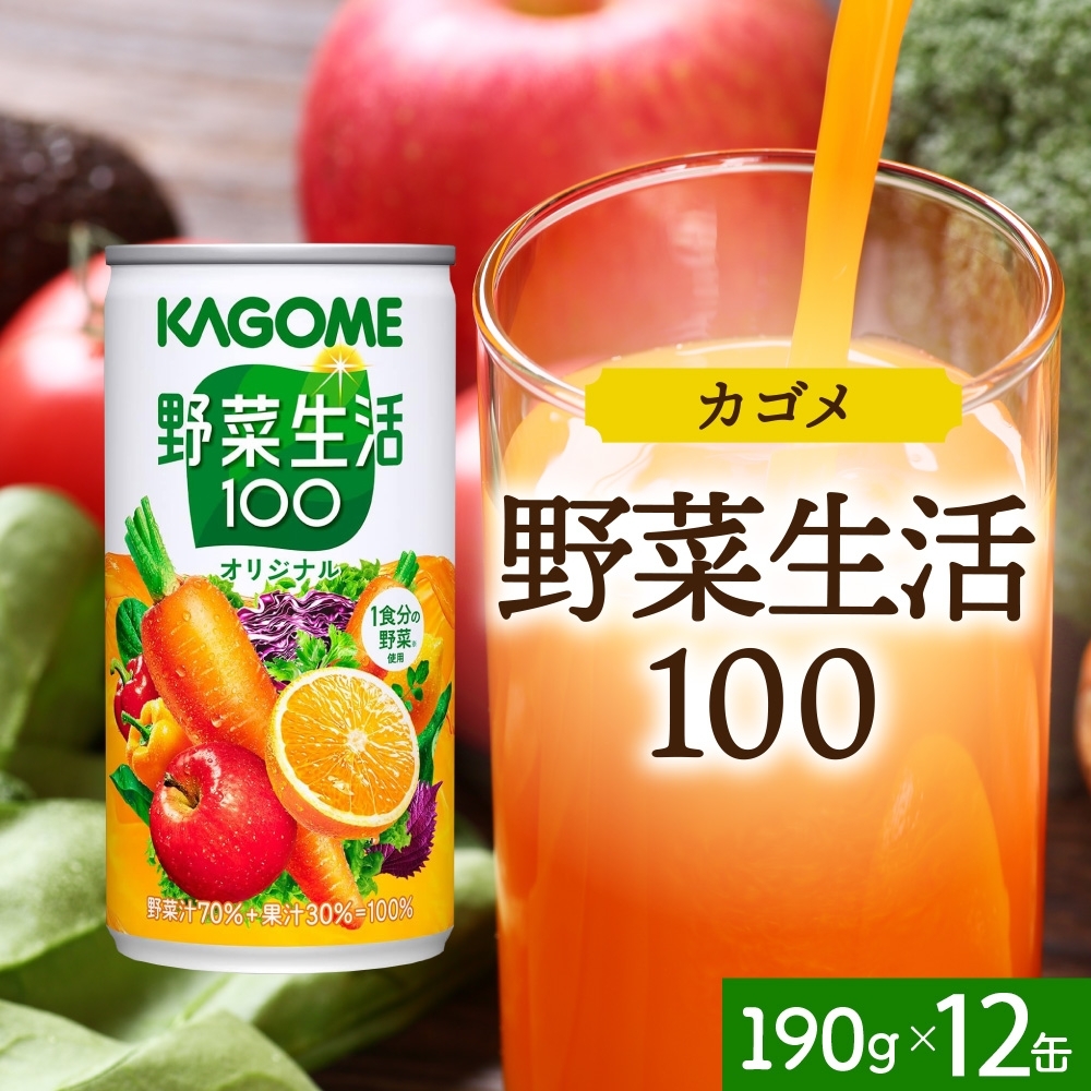 野菜生活100オリジナル190g×12 ns038-045栃木県那須塩原市11000お茶・飲料果汁・野菜飲料