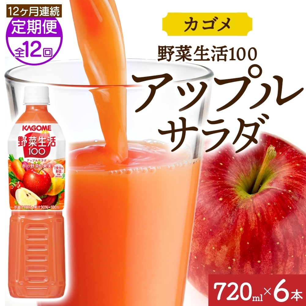 【定期便】12ヵ月連続野菜生活100 アップルサラダ 720mlPET ns038-073栃木県那須塩原市132000お茶・飲料果汁・野菜飲料