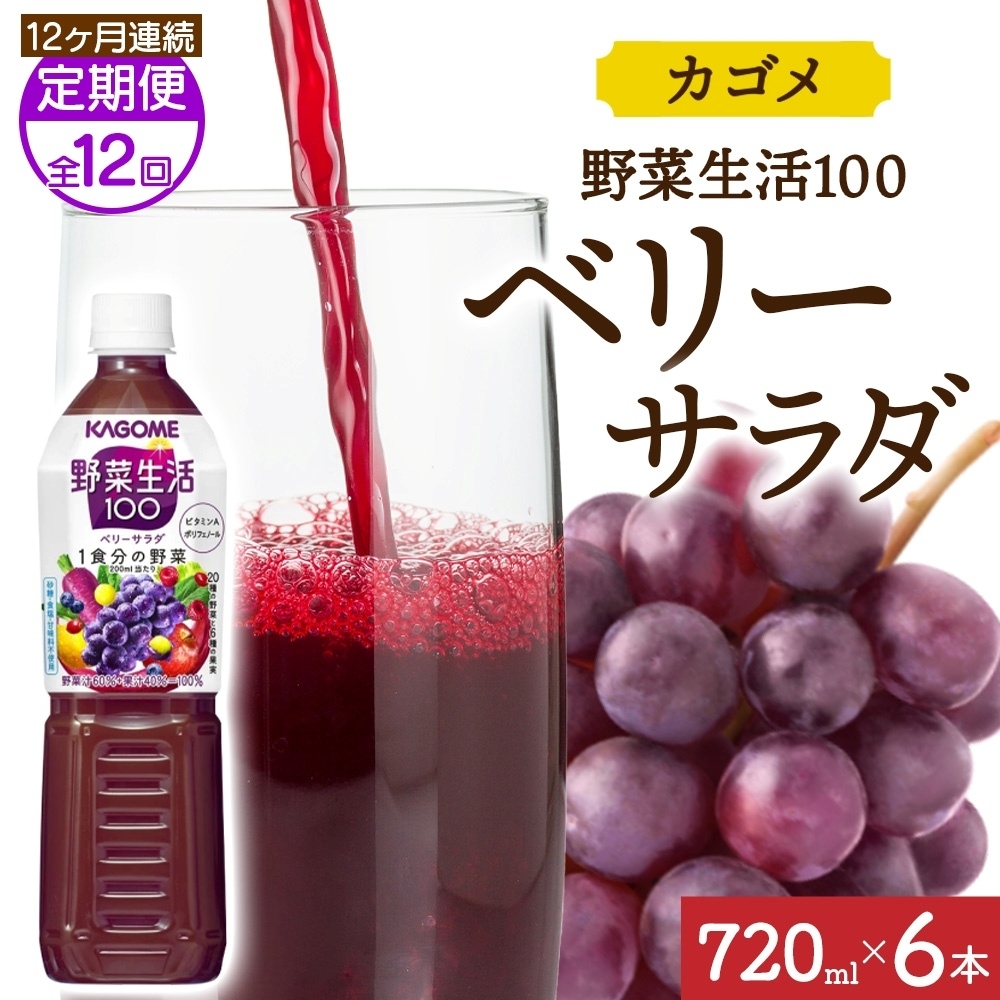 【定期便】12ヵ月連続野菜生活100 ベリーサラダ 720mlPET ns038-077栃木県那須塩原市132000お茶・飲料果汁・野菜飲料