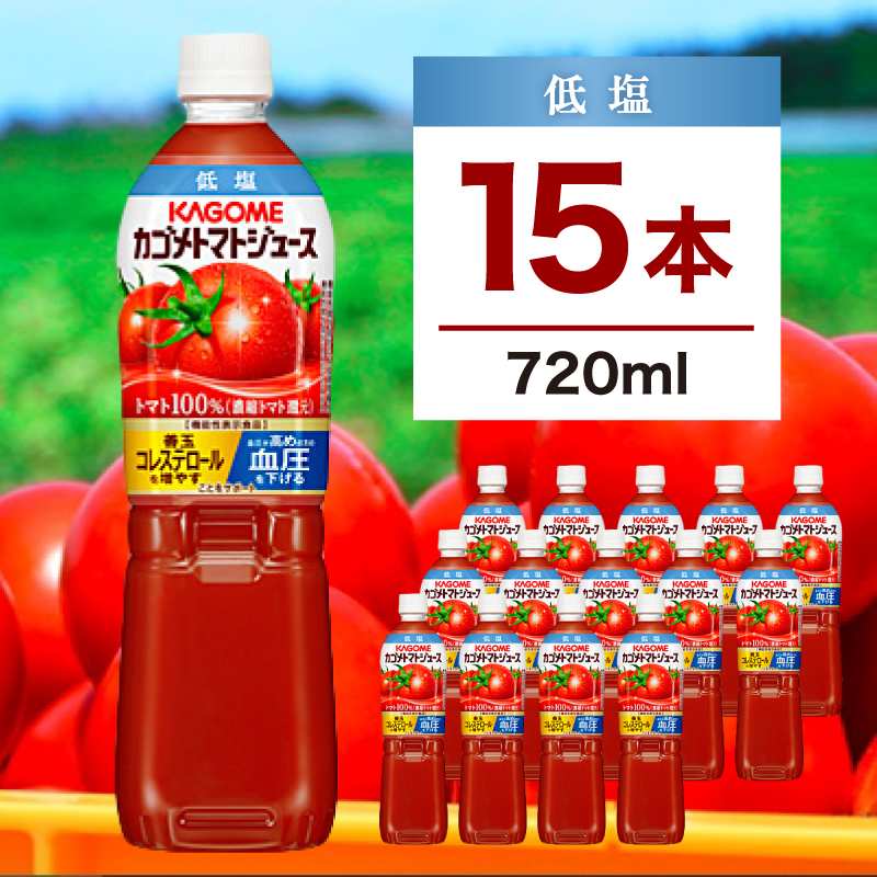 JS g}gW[X ቖ 720ml@15{ ns111-001-15Ȗ،ߐ{s16000Eʏ`E؈