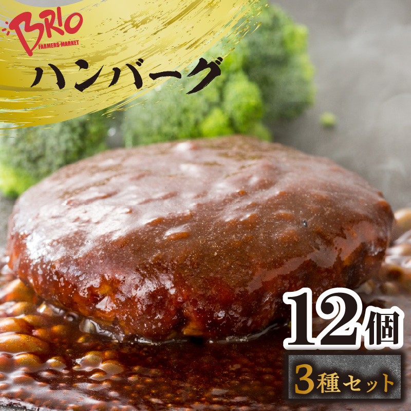 「あいぽーく」ハンバーグ3種セット各4個(計12個)愛知県常滑市16000鍋セット・総菜・加工食品その他 鍋セット・総菜・加工食品