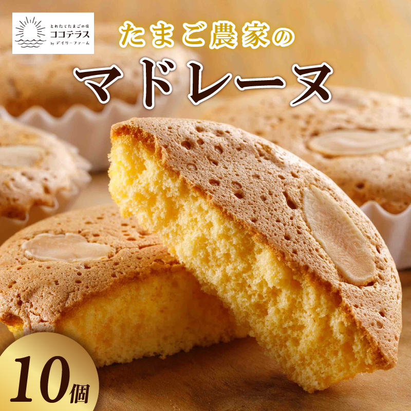 ココテラスのたまご農家のマドレーヌ(10個)愛知県常滑市9000菓子・スイーツ焼き菓子