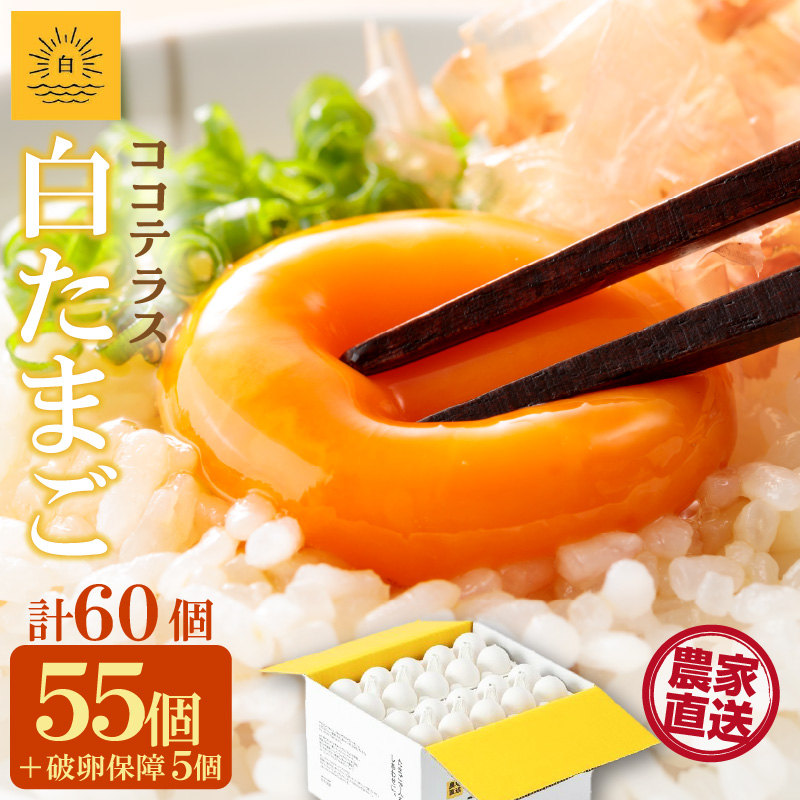 ココテラスの朝日(白たまご)55個 + 5個保証(計60個)【JGAP認証】愛知県常滑市13000卵・乳製品卵(鶏、烏骨鶏等)