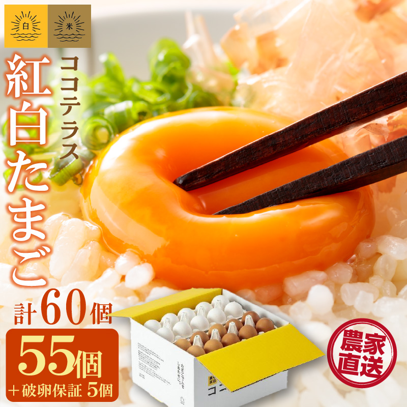 ココテラスの紅白たまご 55個 + 5個保証(計60個)【JGAP認証】愛知県常滑市14000卵・乳製品卵(鶏、烏骨鶏等)