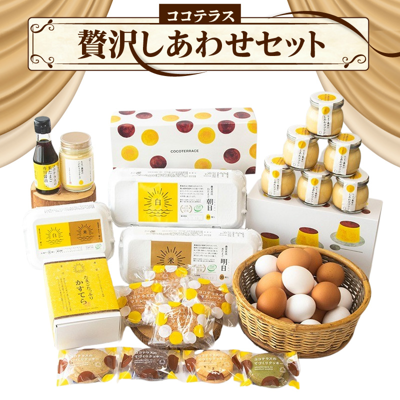 ココテラスの贅沢しあわせセット愛知県常滑市41000卵・乳製品卵(鶏、烏骨鶏等)