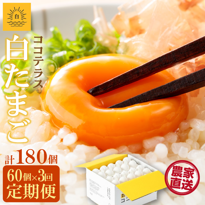 【3ヵ月定期便】ココテラスの朝日(白たまご)55個 + 5個保証(計60個)【JGAP認証】愛知県常滑市37000卵・乳製品卵(鶏、烏骨鶏等)
