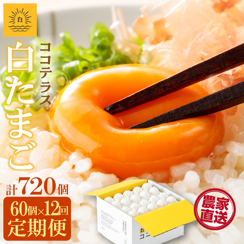 【12ヵ月定期便】ココテラスの朝日(白たまご)55個 + 5個保証(計60個)【JGAP認証】愛知県常滑市144000卵・乳製品卵(鶏、烏骨鶏等)