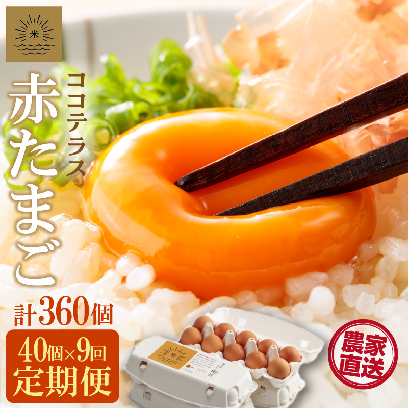 【9ヵ月定期便】ココテラスの明日(赤たまご)35個 + 5個保証(計40個)【JGAP認証】愛知県常滑市94000卵・乳製品卵(鶏、烏骨鶏等)