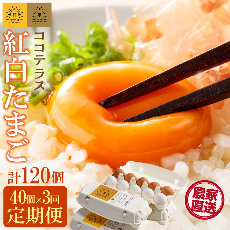 【3ヵ月定期便】ココテラスの紅白たまご 35個 + 5個保証(計40個)【JGAP認証】愛知県常滑市30000卵・乳製品卵(鶏、烏骨鶏等)