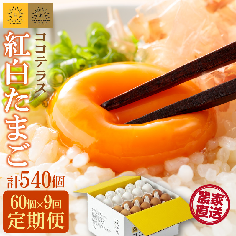 【9ヵ月定期便】ココテラスの紅白たまご 55個 + 5個保証(計60個)【JGAP認証】愛知県常滑市119000卵・乳製品卵(鶏、烏骨鶏等)