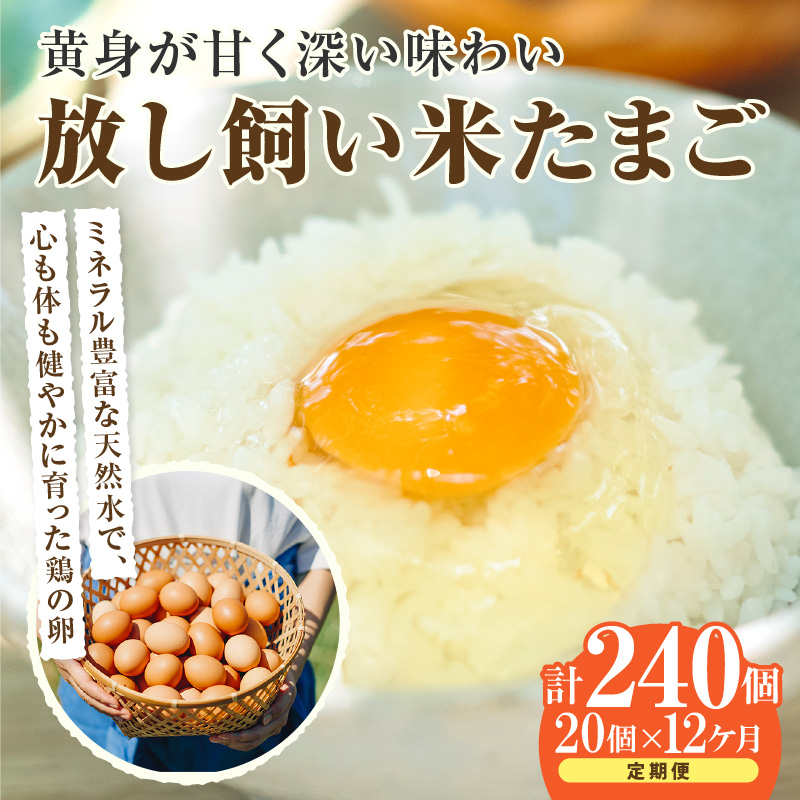 【12か月定期便】放し飼い米たまご15個+5個保証(計20個)愛知県常滑市140000卵・乳製品卵(鶏、烏骨鶏等)