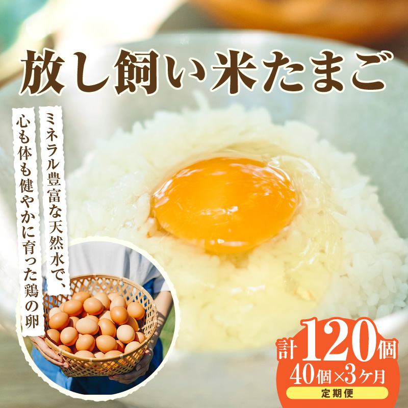 【3か月定期便】放し飼い米たまご35個+5個保証(計40個)愛知県常滑市62000卵・乳製品卵(鶏、烏骨鶏等)