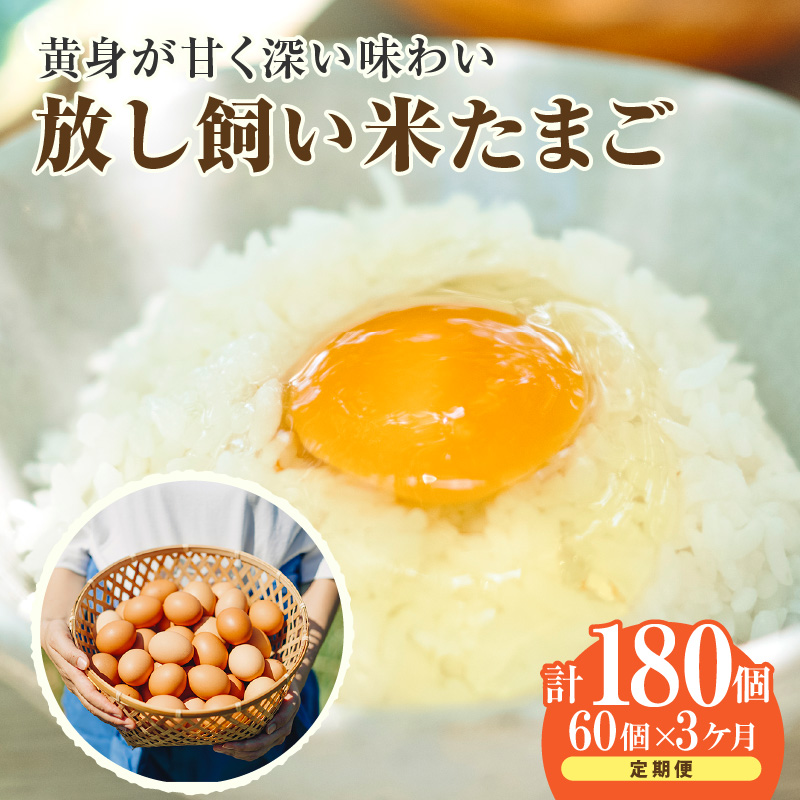 【3か月定期便】放し飼い米たまご55個+5個保証(計60個)愛知県常滑市89000卵・乳製品卵(鶏、烏骨鶏等)