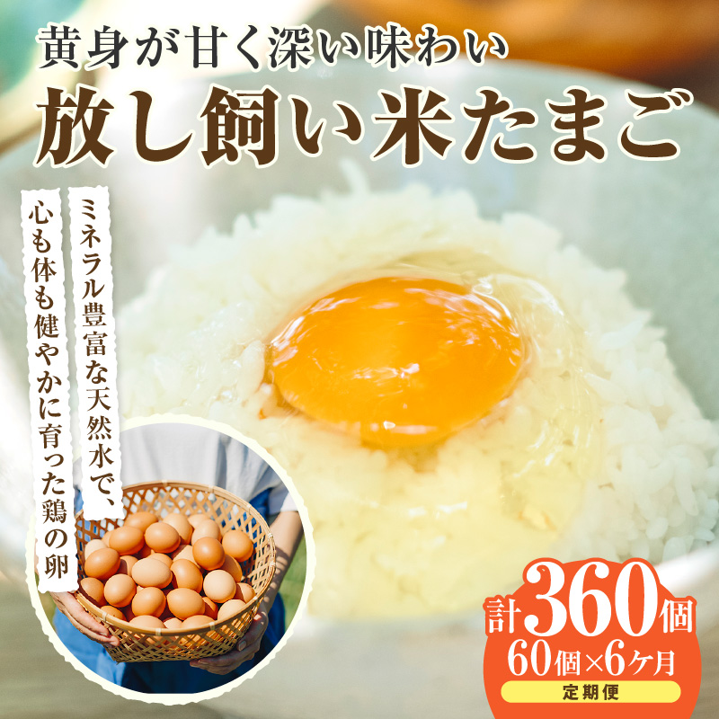 【6か月定期便】放し飼い米たまご55個+5個保証(計60個)愛知県常滑市177000卵・乳製品卵(鶏、烏骨鶏等)