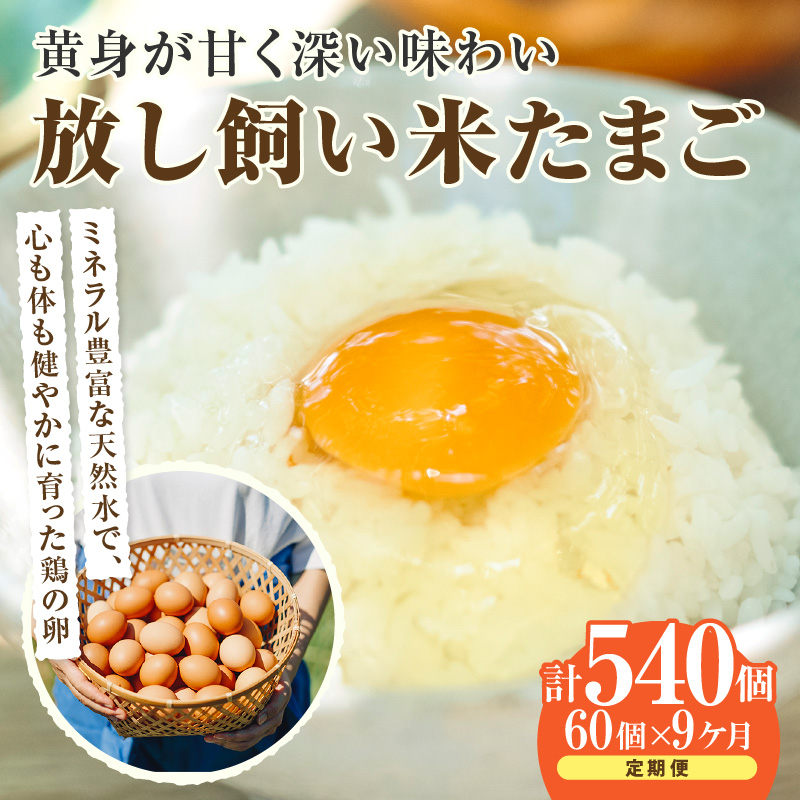 【9か月定期便】放し飼い米たまご55個+5個保証(計60個)愛知県常滑市264000卵・乳製品卵(鶏、烏骨鶏等)