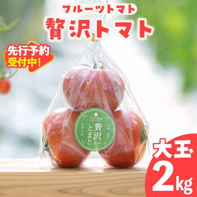 【先行予約】【2025年12月頃から順次発送】フルーツトマト 贅沢トマト2kg よこた農園 大玉 贅沢トマト 野菜 トマト 新鮮野菜 太陽の恵み 大玉トマトトマト料理 愛知県産 フルーツとまと