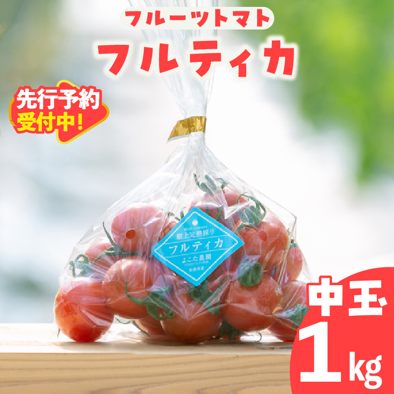 【先行予約】【2025年12月頃から順次発送】フルーツトマト 中玉フルティカ1kg よこた農園 フフルティカ 野菜 トマト 新鮮野菜 太陽の恵み 中玉トマトトマト料理 愛知県産 フルーツとまと