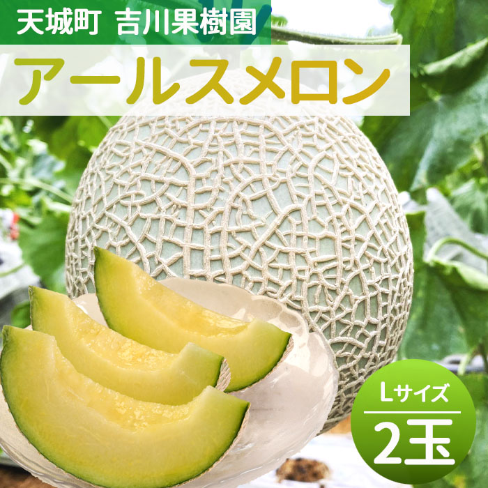 徳之島 天城町 吉川果樹園 アールスメロン Lサイズ 2玉 メロン マスクメロン鹿児島県天城町15000果物・フルーツ