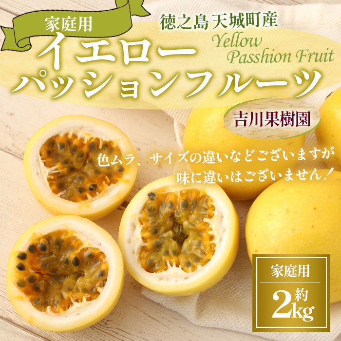 【2026年発送】先行受付 徳之島 天城町産 【家庭用】 イエローパッションフルーツ 約2kg(サイズ混合) 吉川果樹園  パッションフルーツ 混合サイズ イエロー フルーツ 果物 AB-37-N鹿児島県天