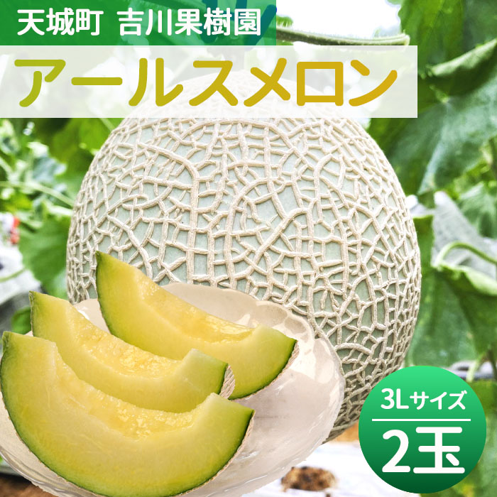 徳之島 天城町 吉川果樹園 アールスメロン 3Lサイズ 2玉 メロン マスクメロン鹿児島県天城町19000果物・フルーツ