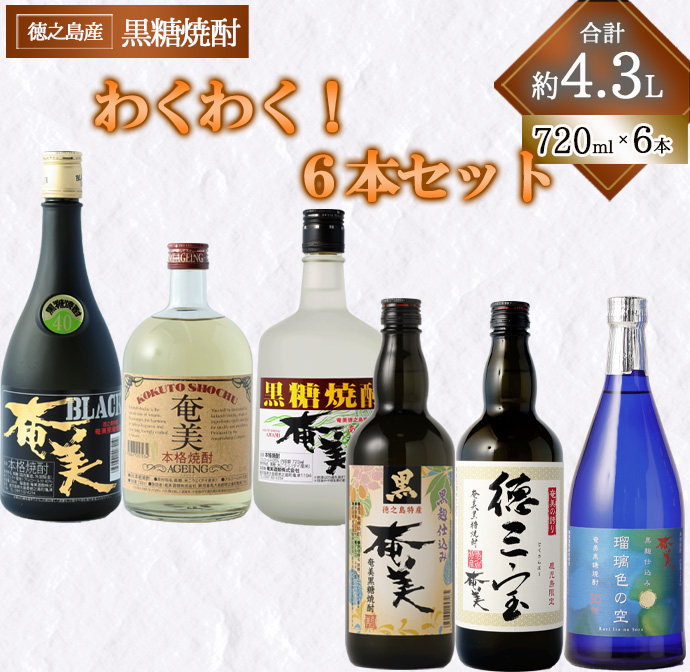奄美酒類 本格 黒糖焼酎 わくわく 6本セット 720ml×6本 バラエティ 焼酎鹿児島県天城町25000酒・アルコール焼酎