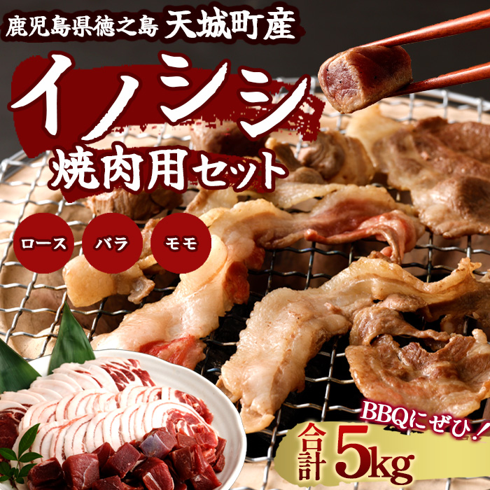 鹿児島 徳之島 天城町 イノシシ 焼肉用 セット5kg ジビエ ロース サイコロ バラ AI-20鹿児島県天城町57000肉ジビエ