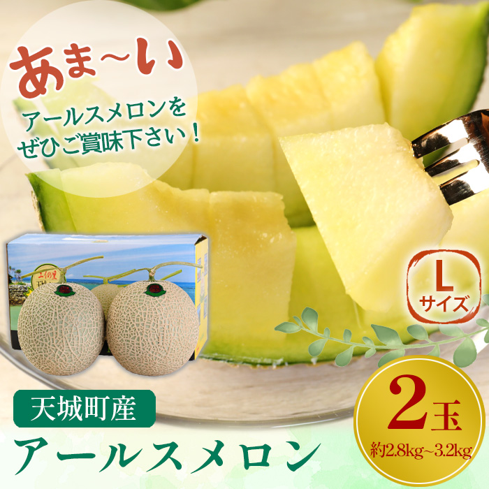 【2024年12月発送】徳之島 天城町産 農家直送 アールスメロン メロン マスクメロン L×2玉 AJ-21-N鹿児島県天城町15000果物・フルーツメロン・スイカ